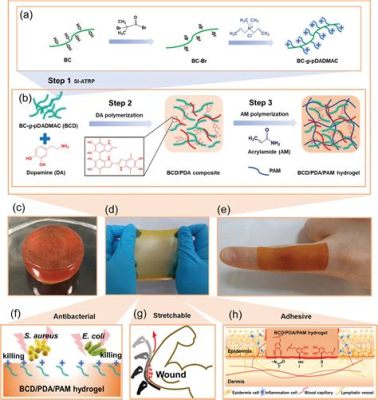 Elastin: Ein biokompatibles Wunderwerk für die Geweberegeneration und Wundheilung!