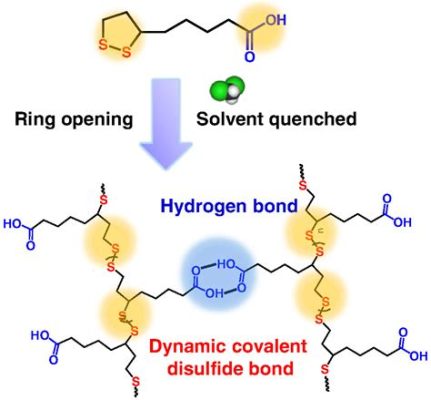  Isobutylbenzen: Das Wundermittel für Lösungsmittel und Polymere?